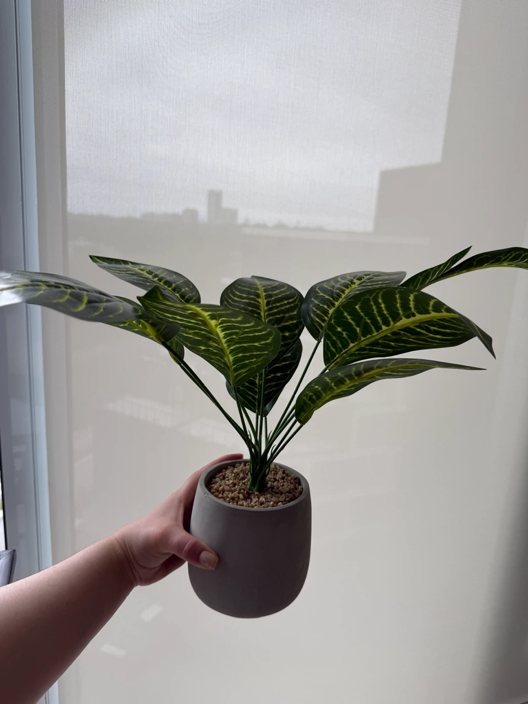 Artificial Zebra Plant in Grey Pot - photo 5