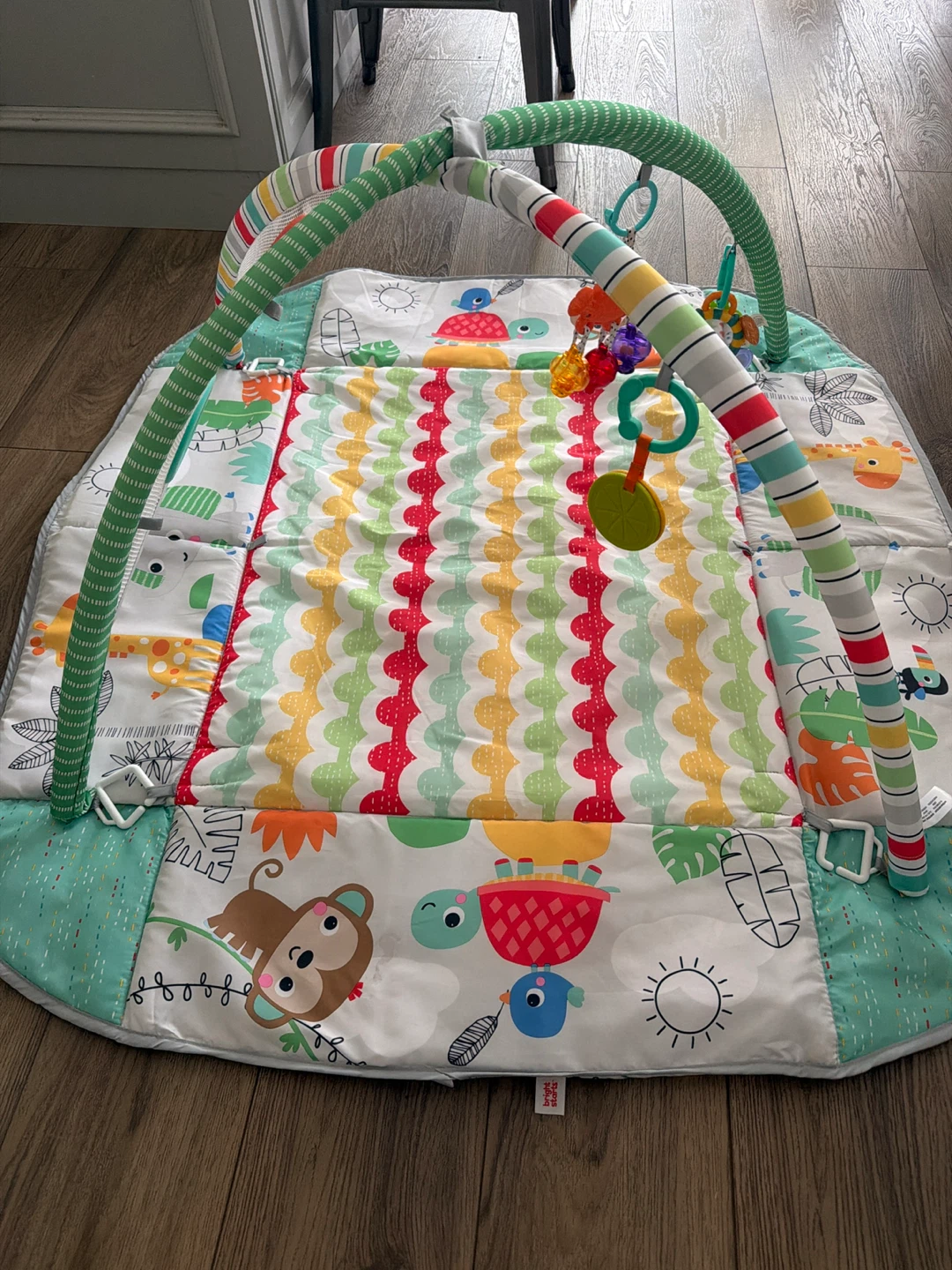 Bright Starts Colorful Jungle Activity Gym