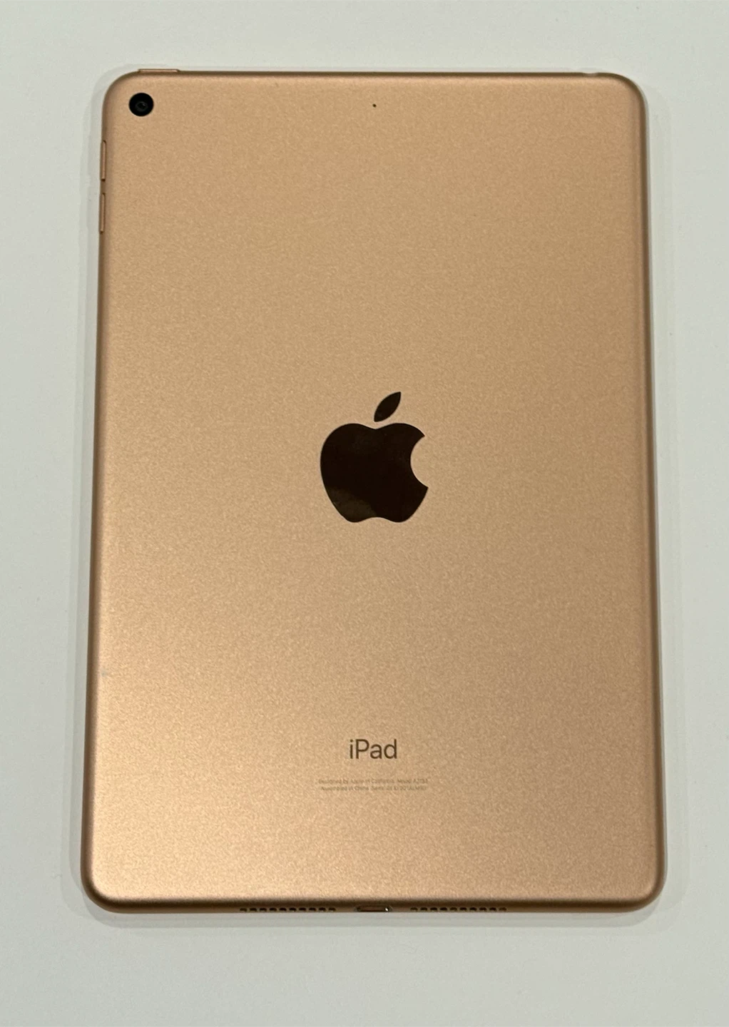 iPad mini (5th generation) - 256GB - Gold - Wifi