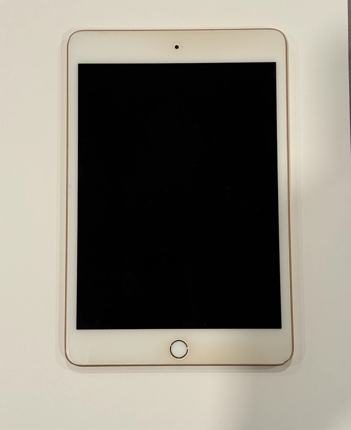 iPad mini (5th generation) - 256GB - Gold - Wifi - photo 3