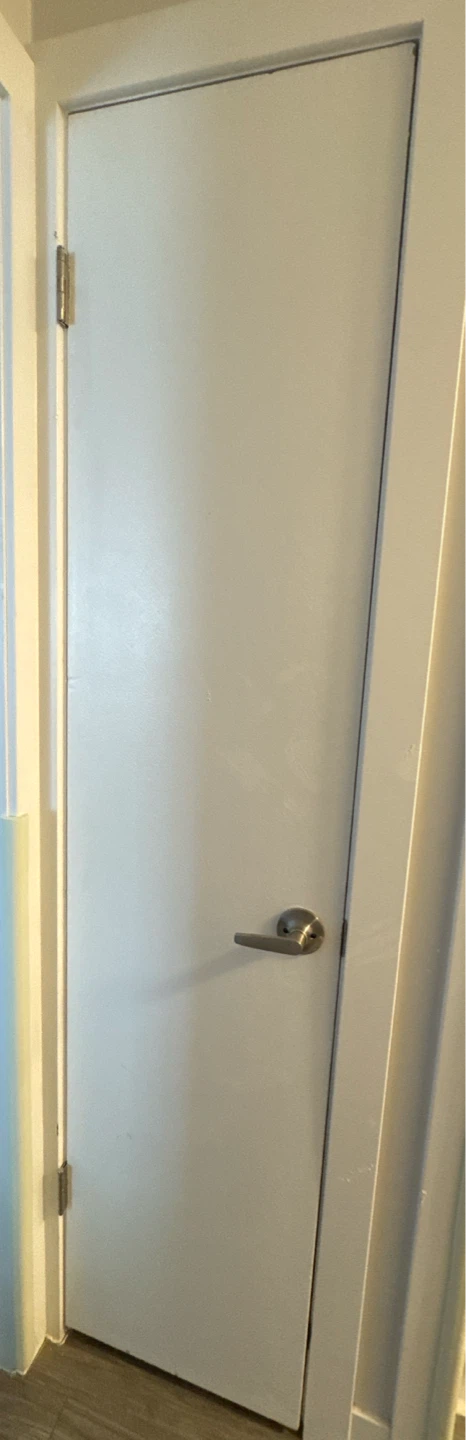 Interior Door with Lever Handle