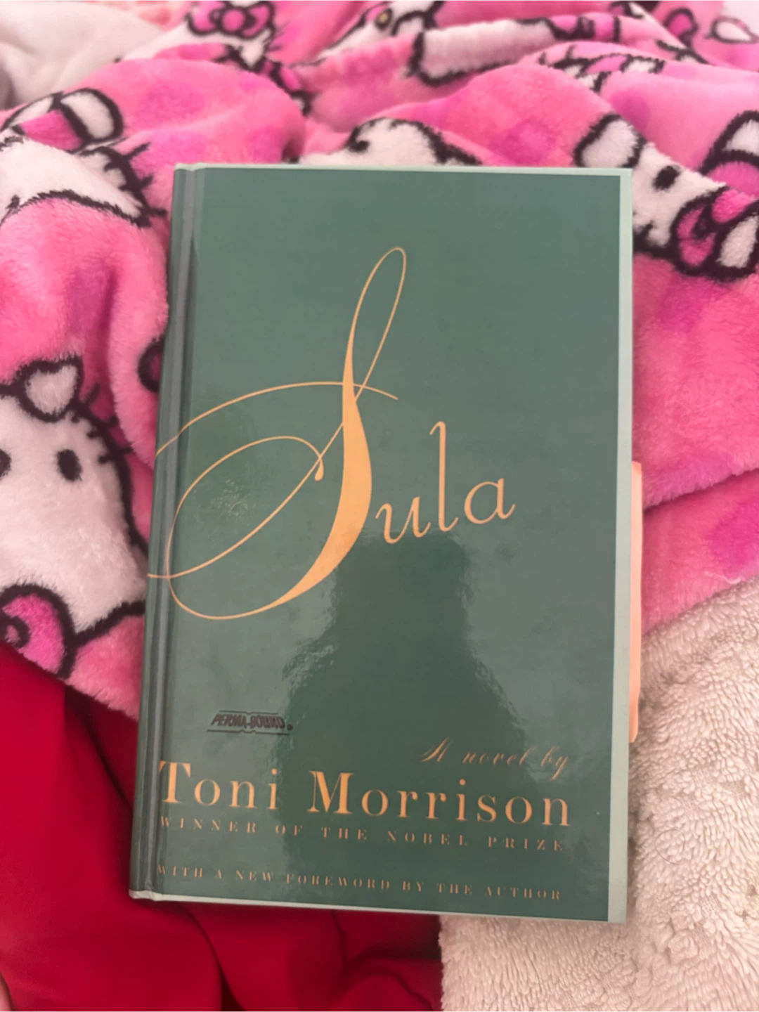 Sula by Toni Morrison