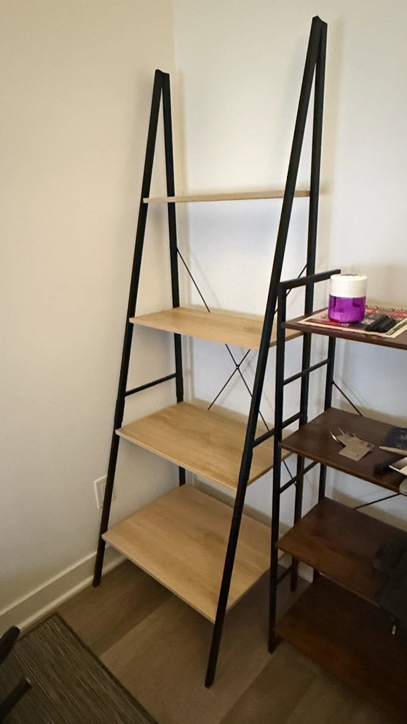 Ladder Bookshelf