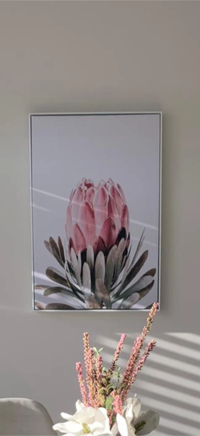 Framed Protea Flower Wall Art