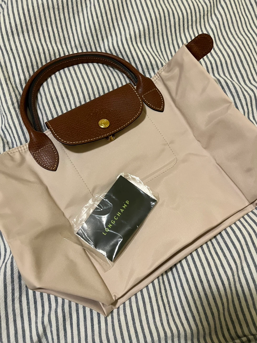 Longchamp Le Pliage Tote Bag in Paper