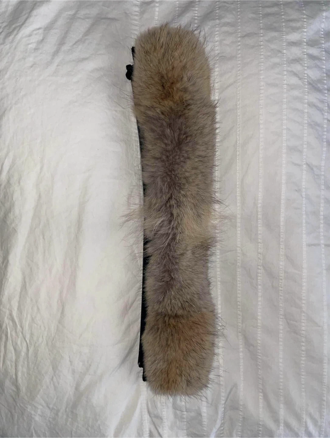 Canada goose Detachable brown fur hood trim