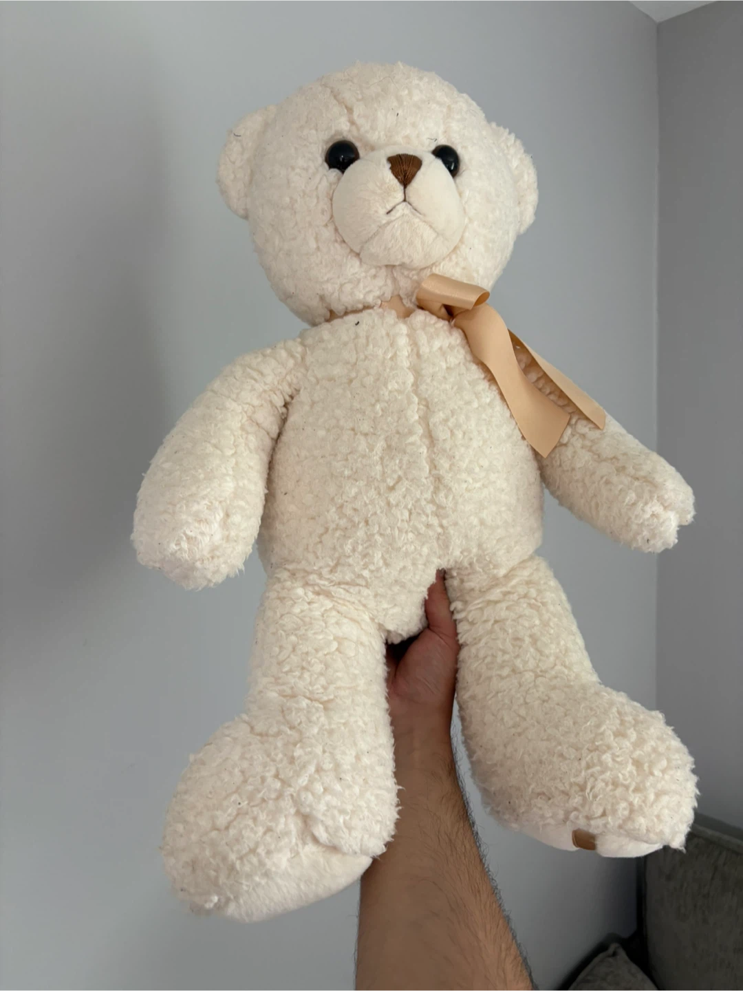 Cream Teddy Bear with Bow