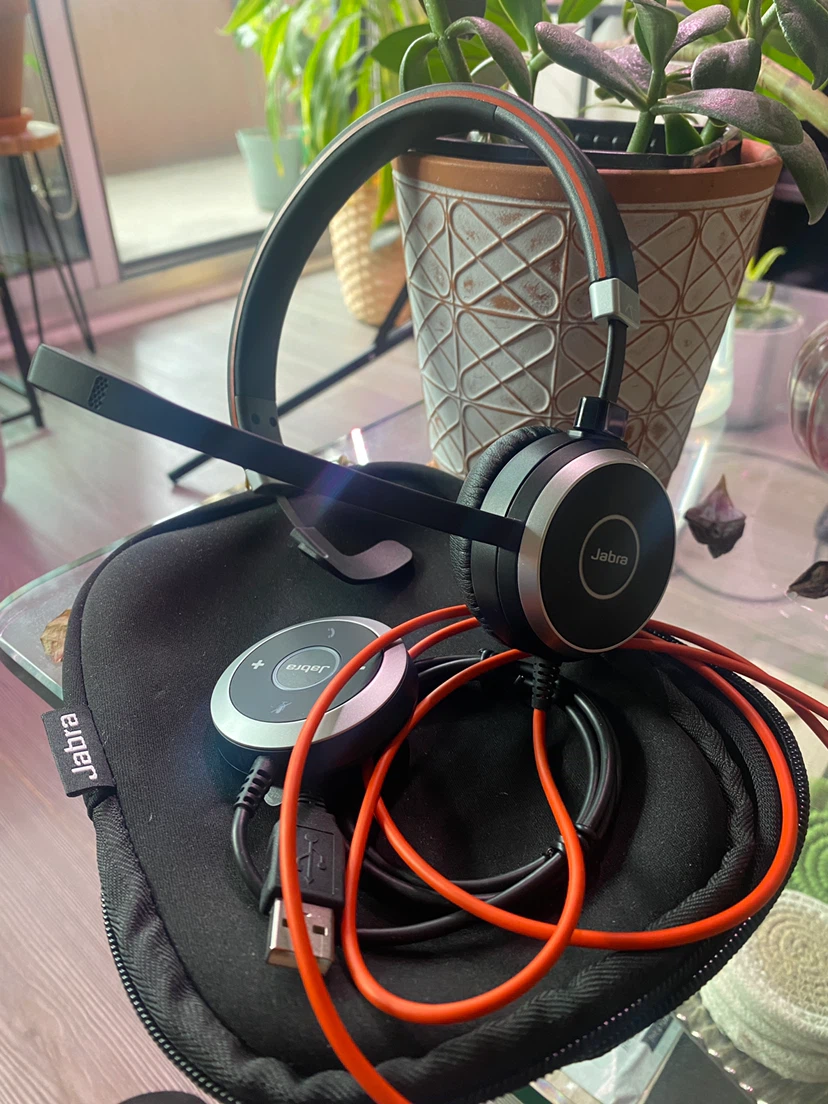 Jabra Evolve Stereo Headset with Carrying Case