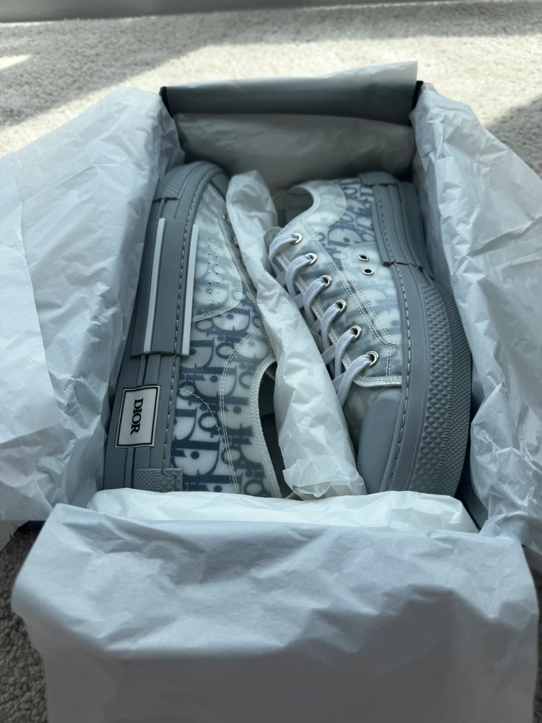 Dior B23 Low Top Sneakers - photo 4