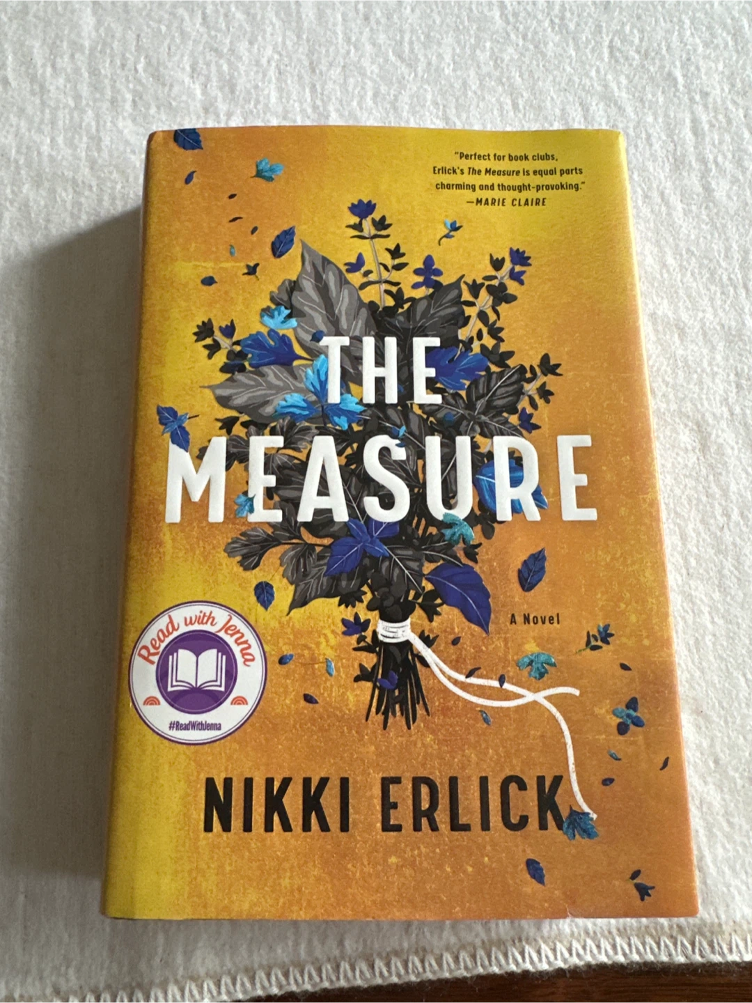 The Measure by Nikki Erlick Novel 📚