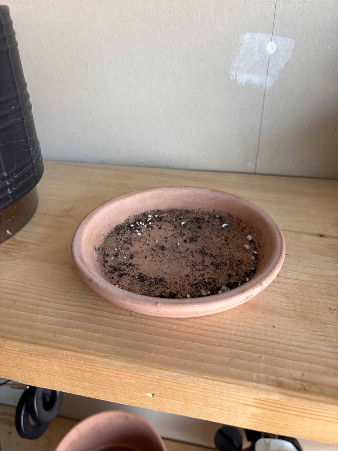 Planting pot - photo 2