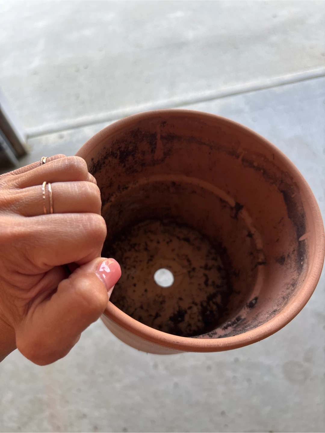 Planting pot - photo 3
