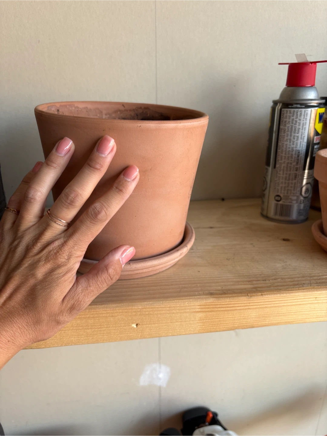 Planting pot - photo 4