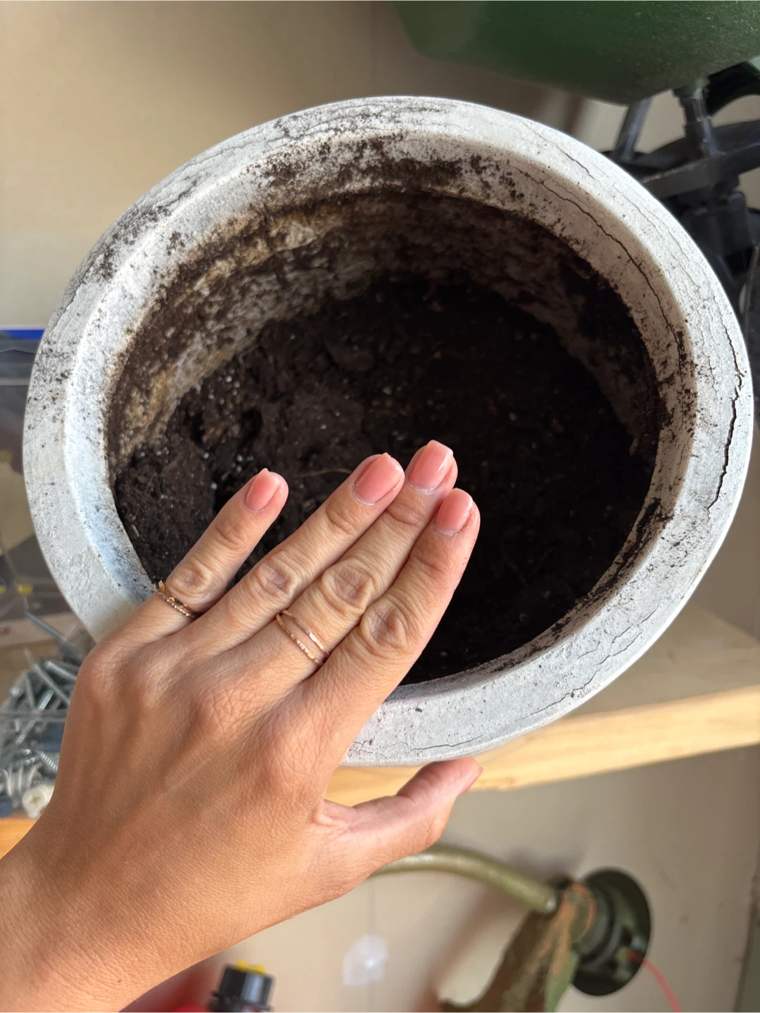 Planting pot - photo 2
