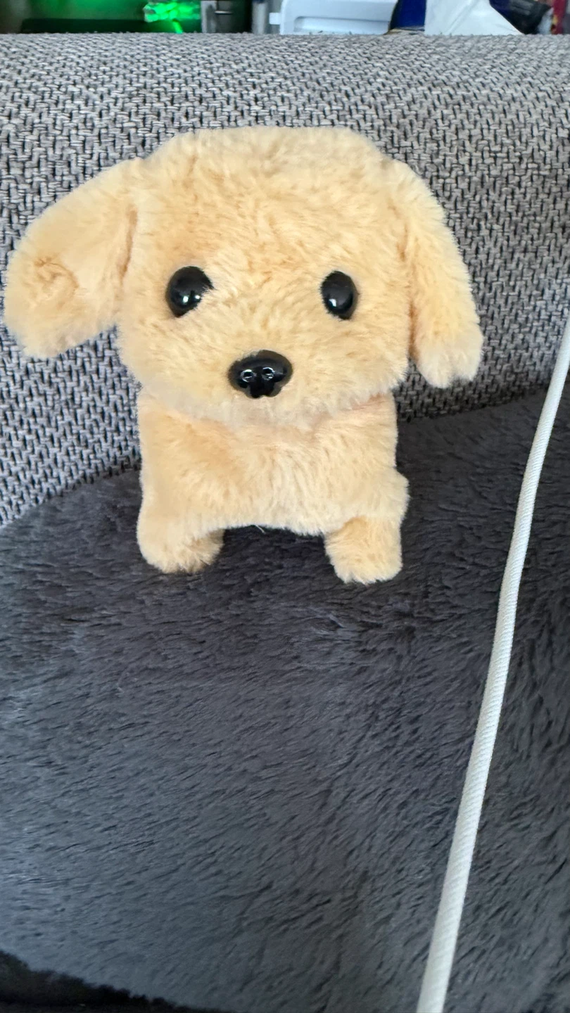 Plush Electronic Walking Dog Toy