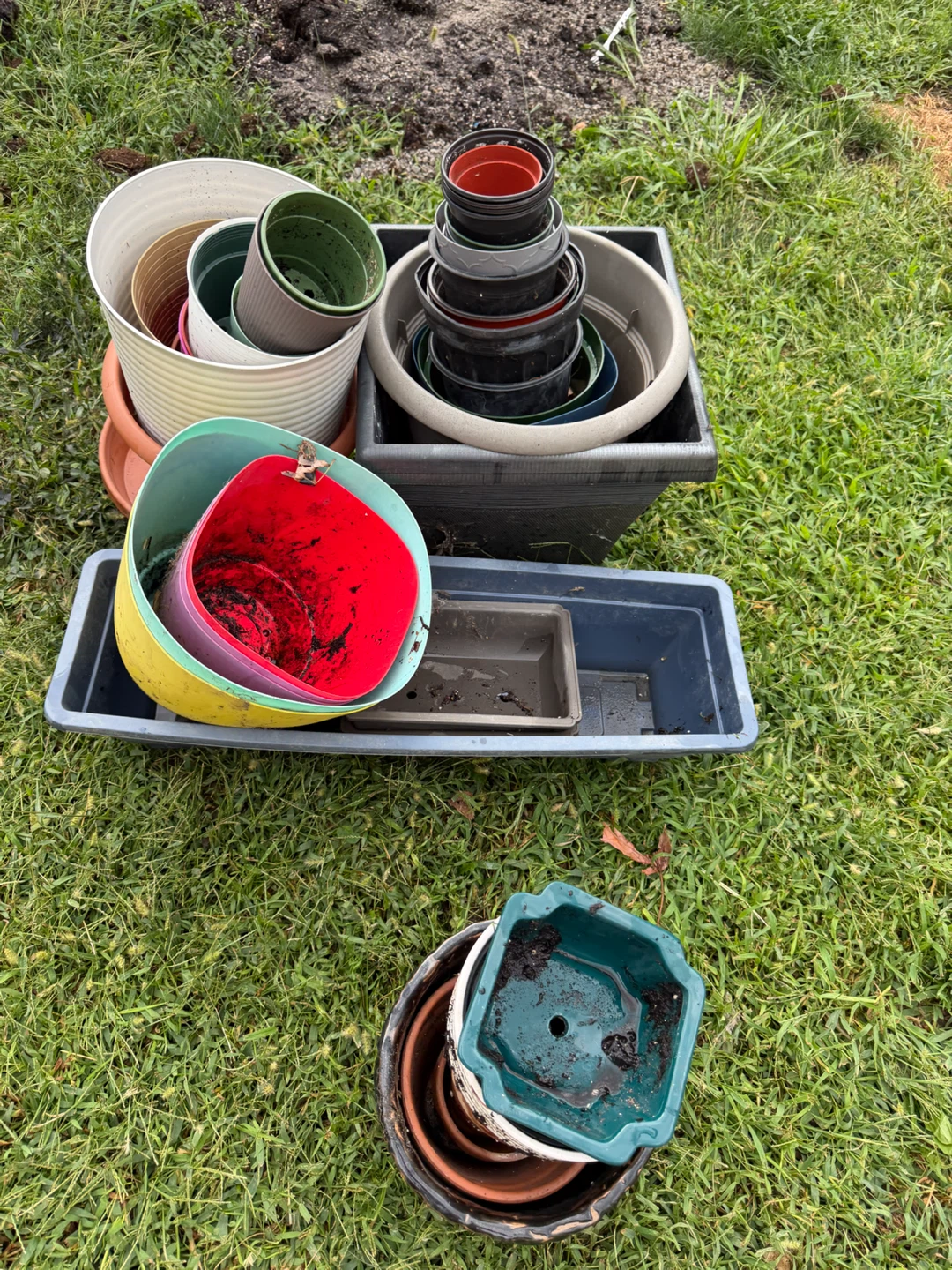 Assorted Flower Pots- all for 20$
