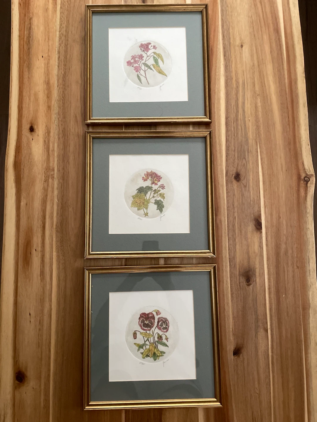 Framed Botanical Art Prints (Set of 3)