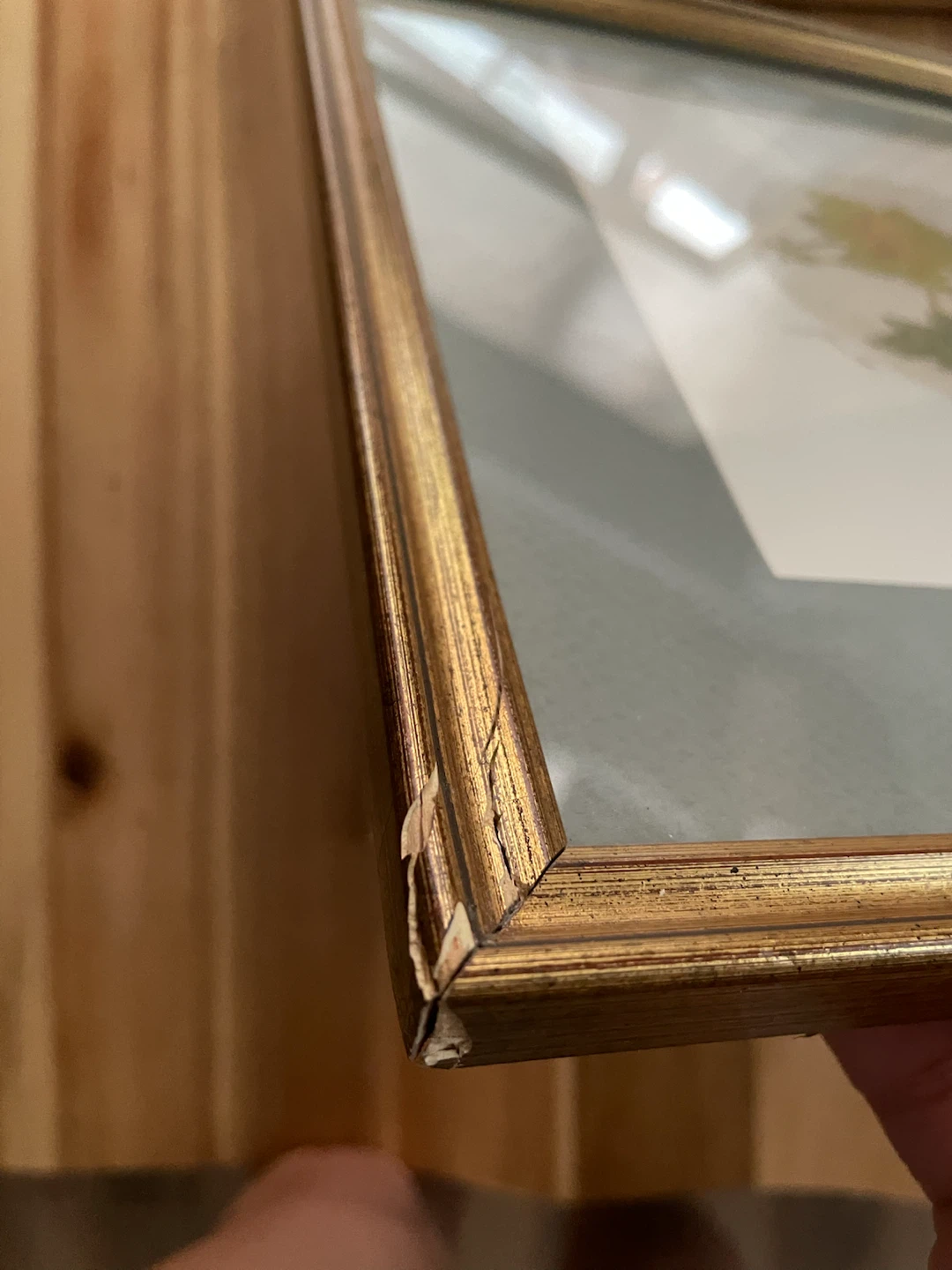 Framed Botanical Art Prints (Set of 2) - photo 5