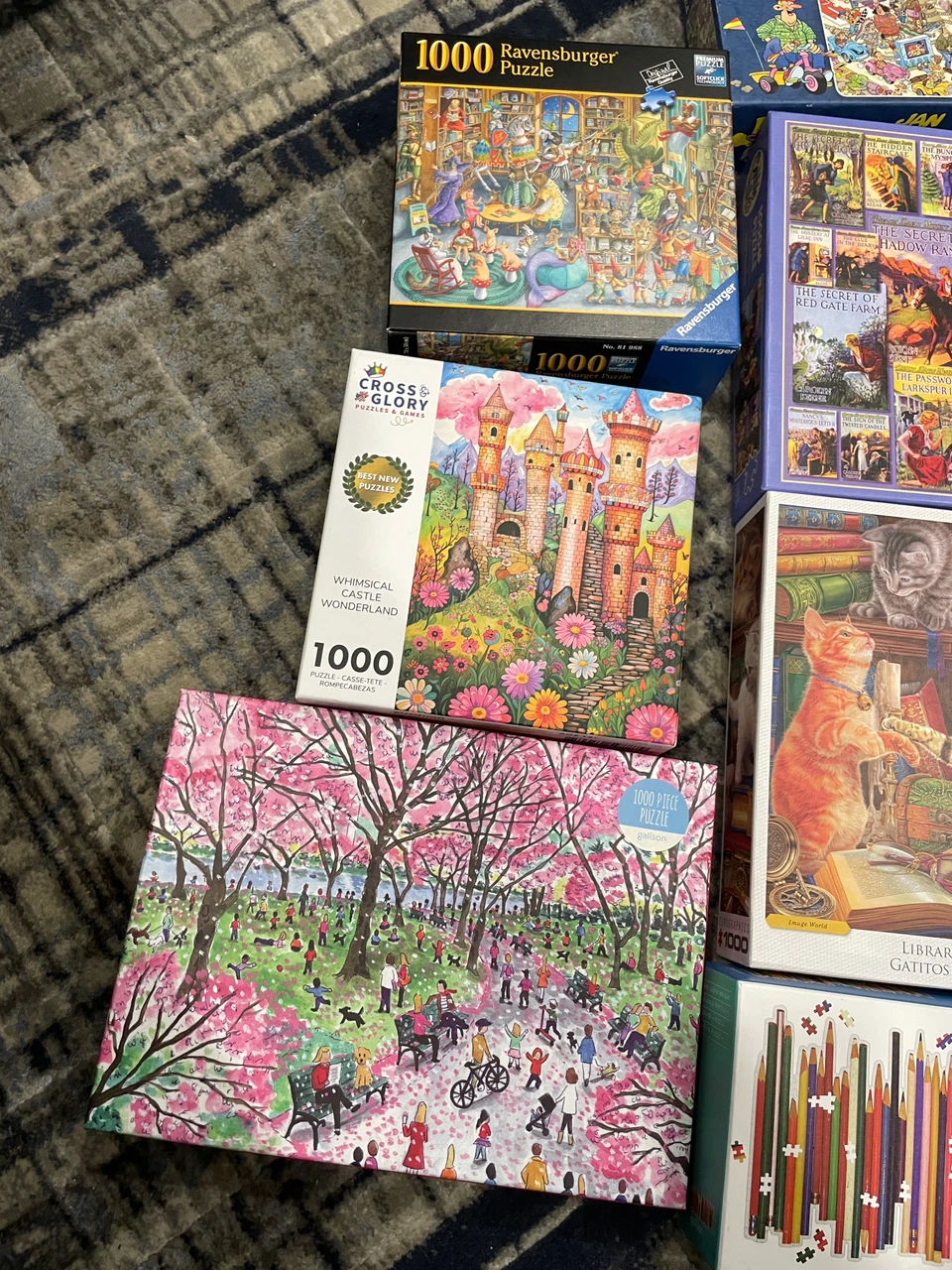 1000 Piece Puzzle Assortment - photo 2
