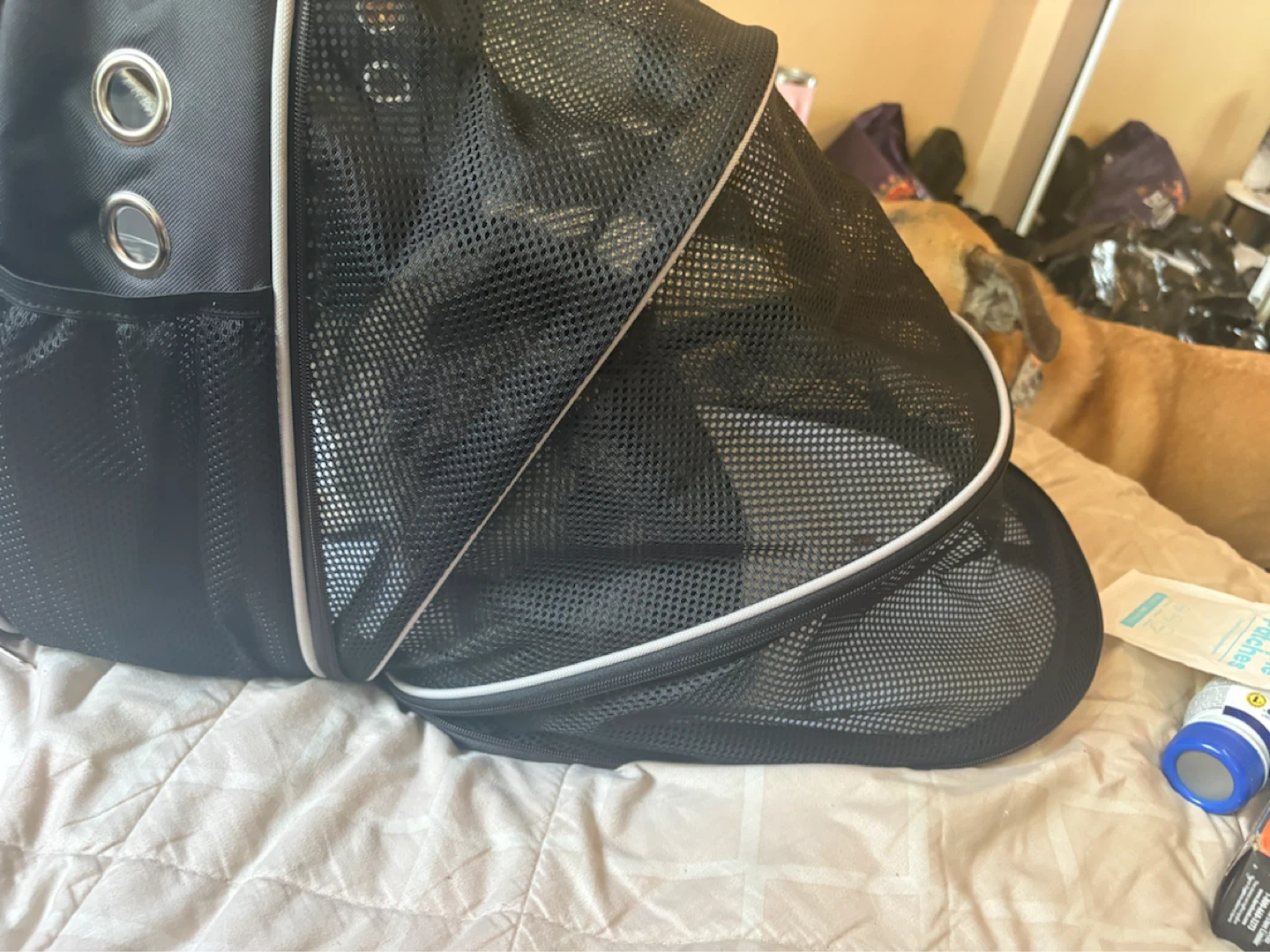 Black bubble pet carrier backpack - photo 5