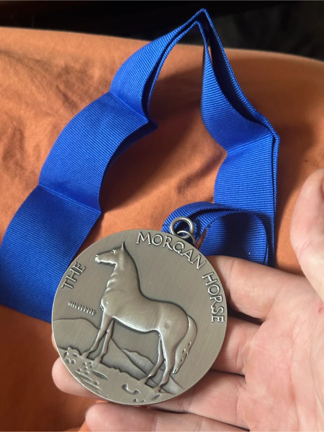 The Morgan Horse Award