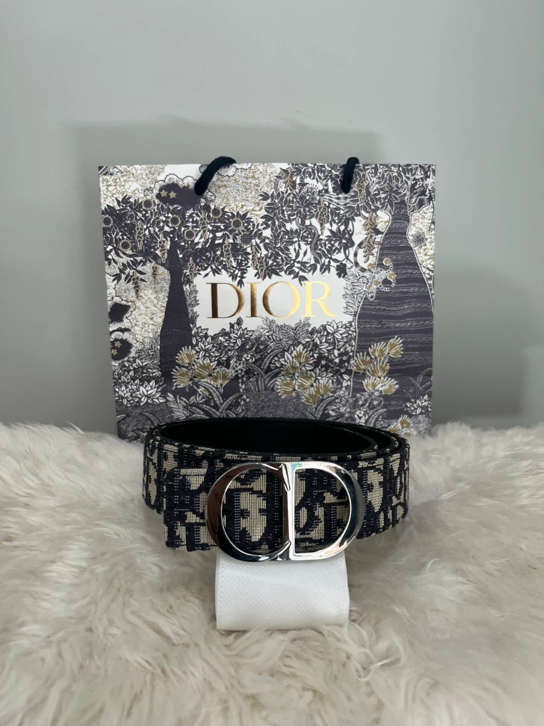 Dior Oblique Belt