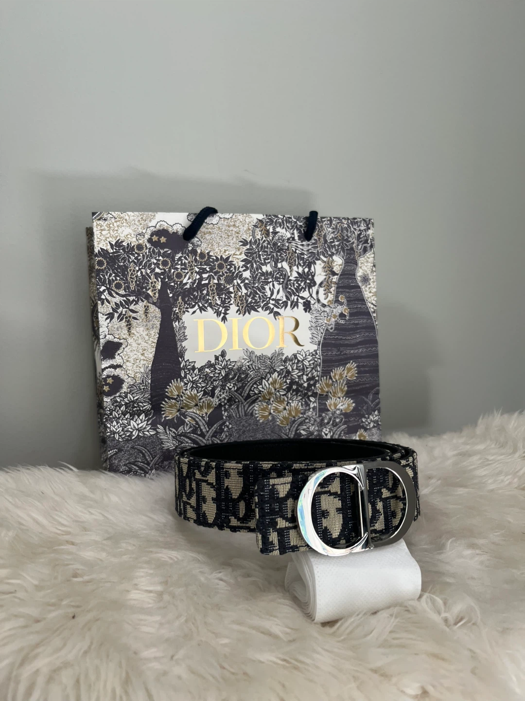 Dior Oblique Belt - photo 2