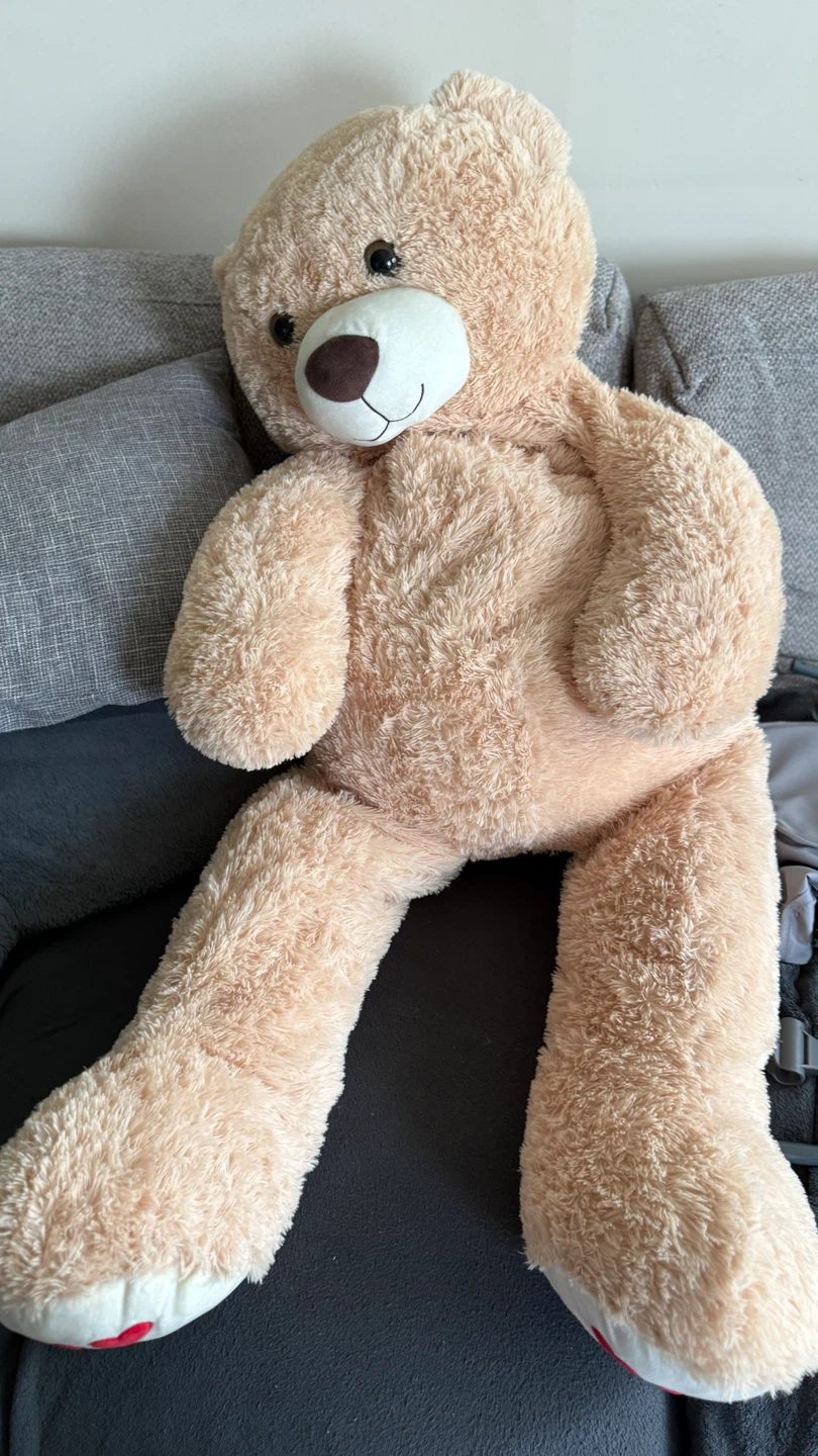 Large Plush Teddy Bear