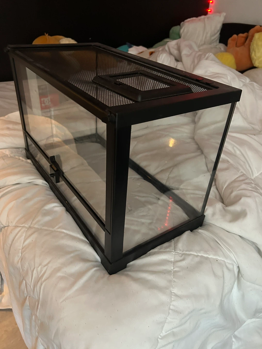 10 Gallon terrarium - photo 2