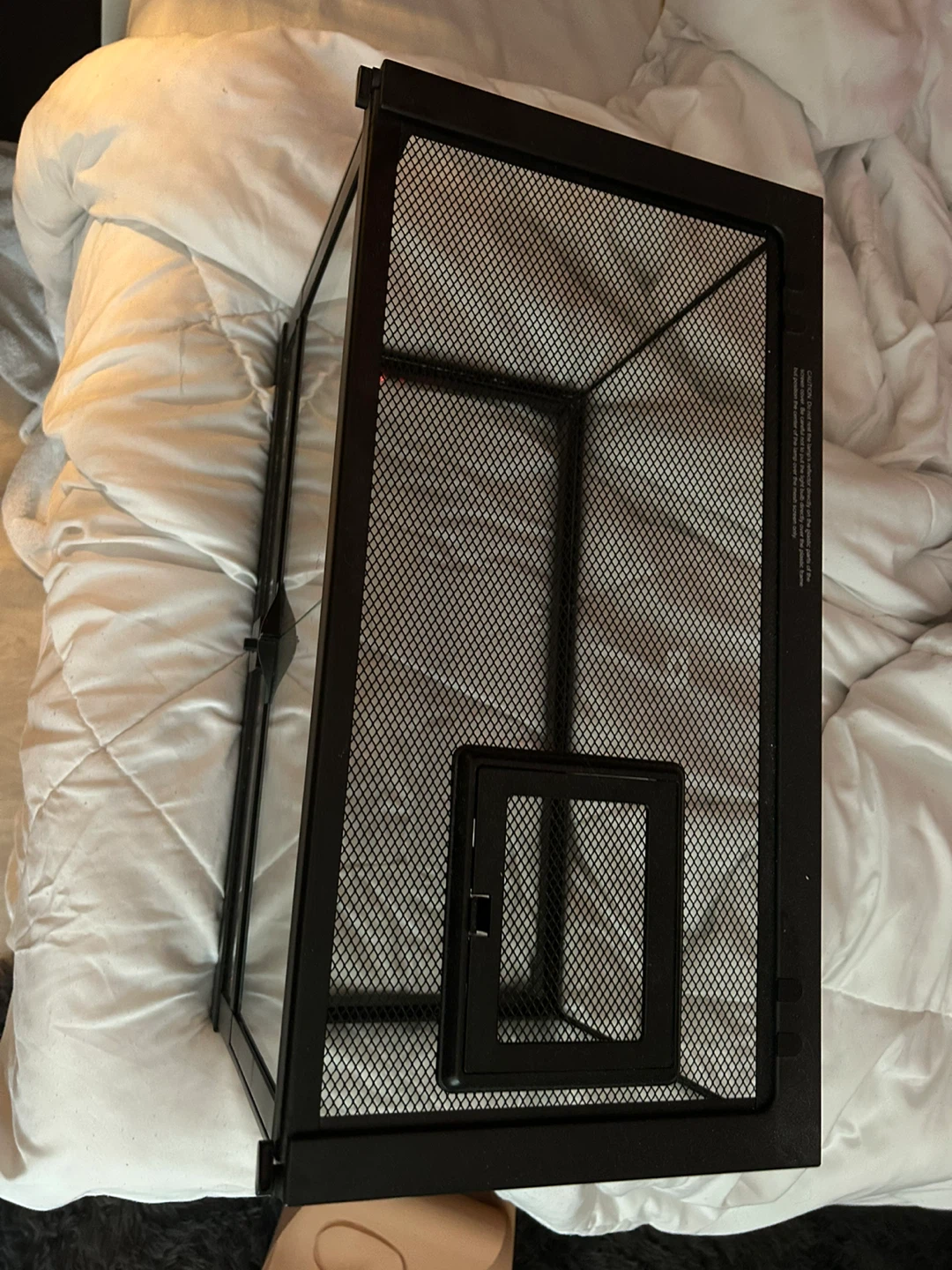 10 Gallon terrarium - photo 3