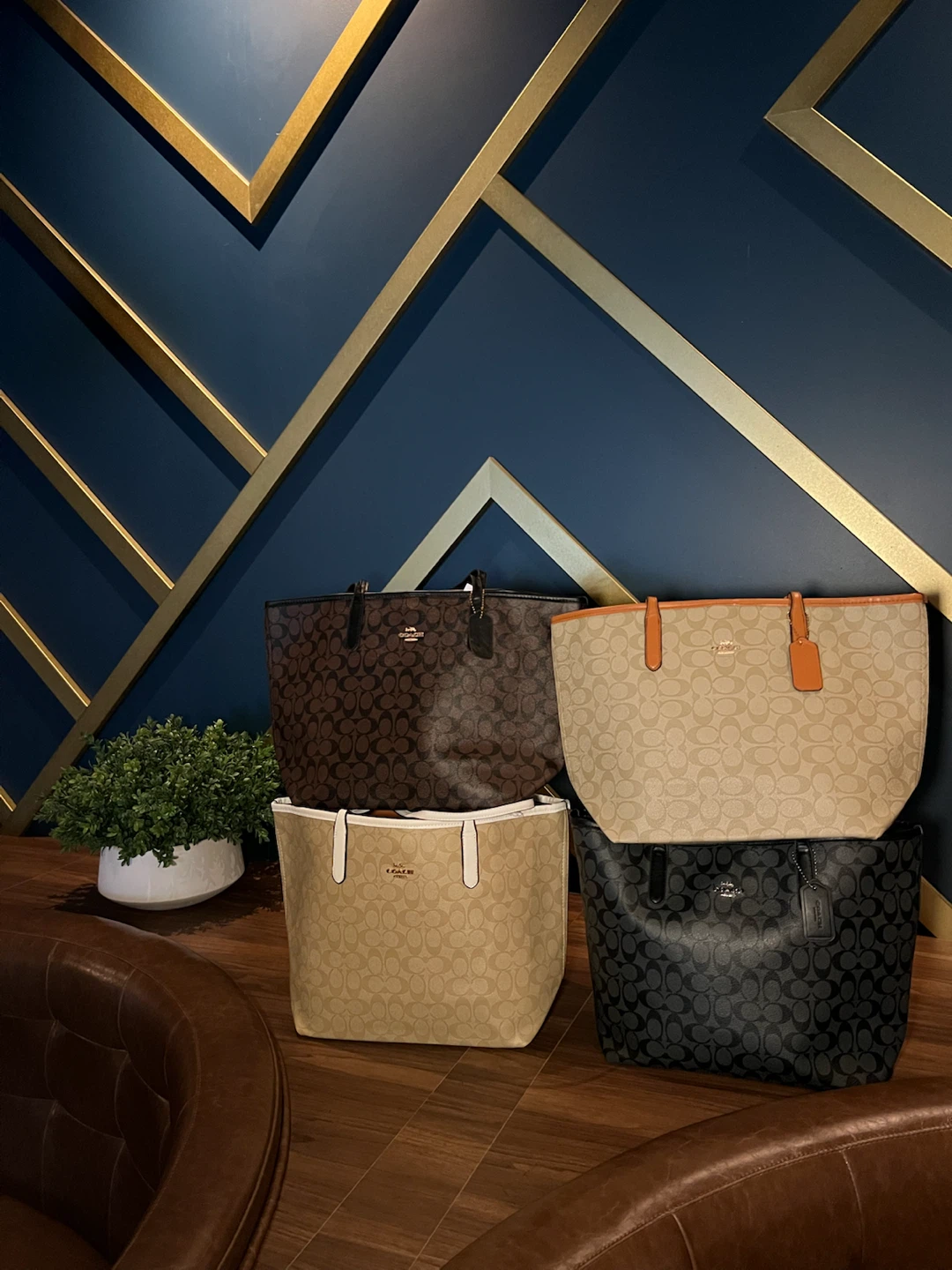 Coach Tote Bag