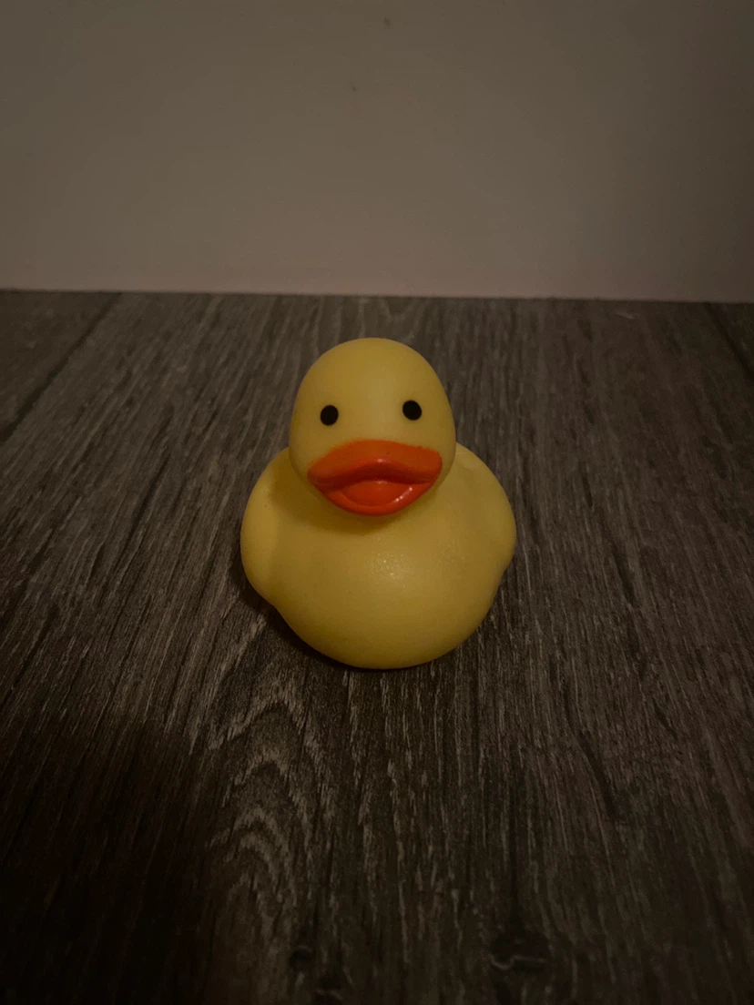 Assorted Rubber Ducks - photo 5