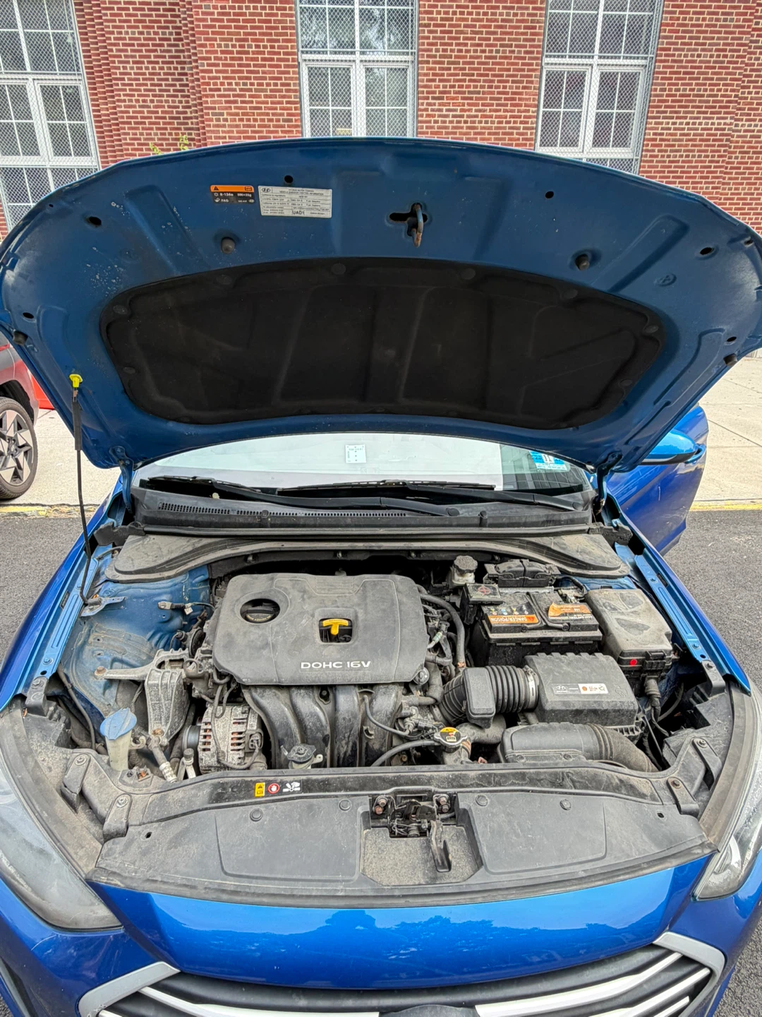 Blue Hyundai Elantra Sedan - photo 5