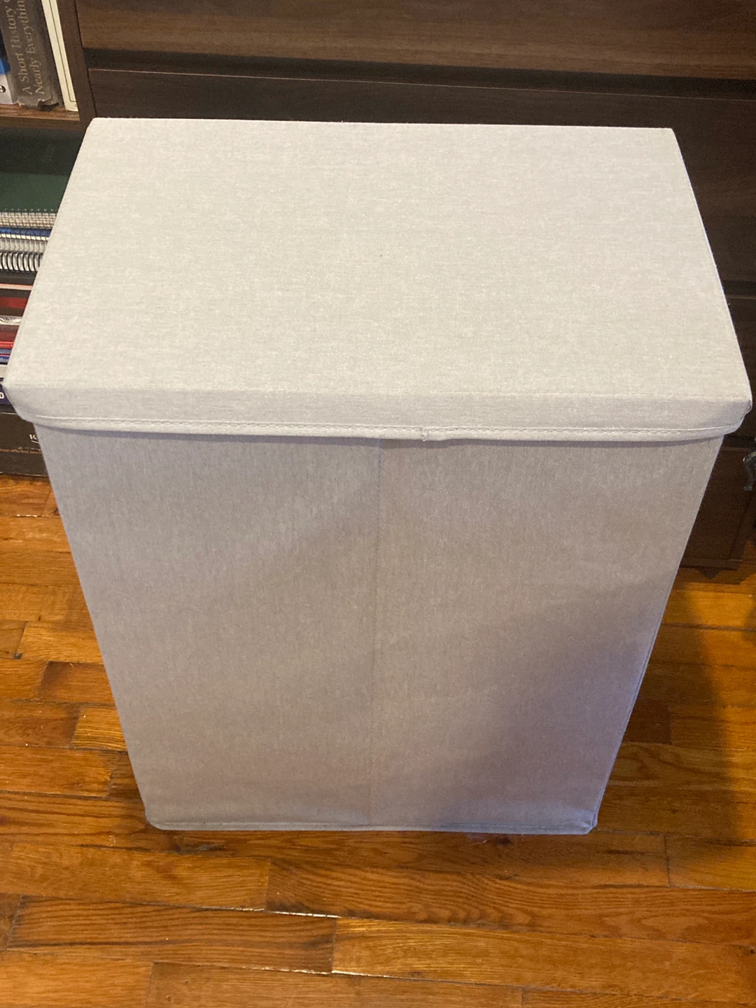 Free Laundry Bin