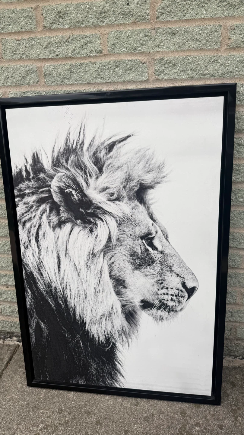 Black and white lion framed wall art