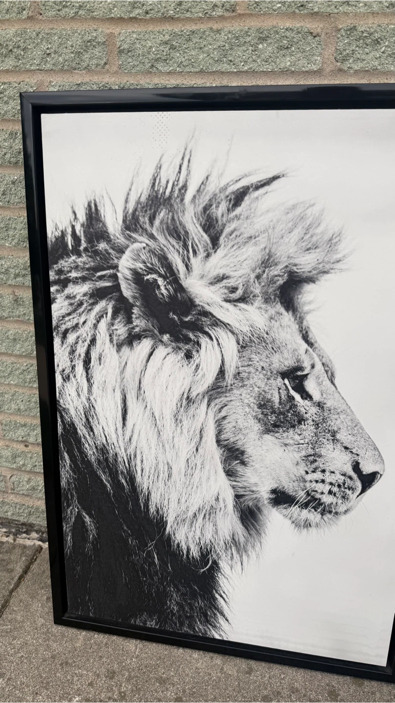 Black and white lion framed wall art - photo 2