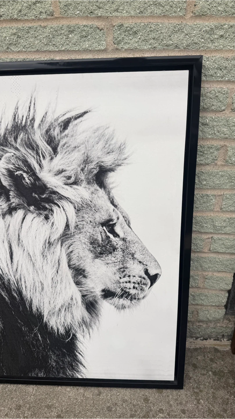 Black and white lion framed wall art - photo 3