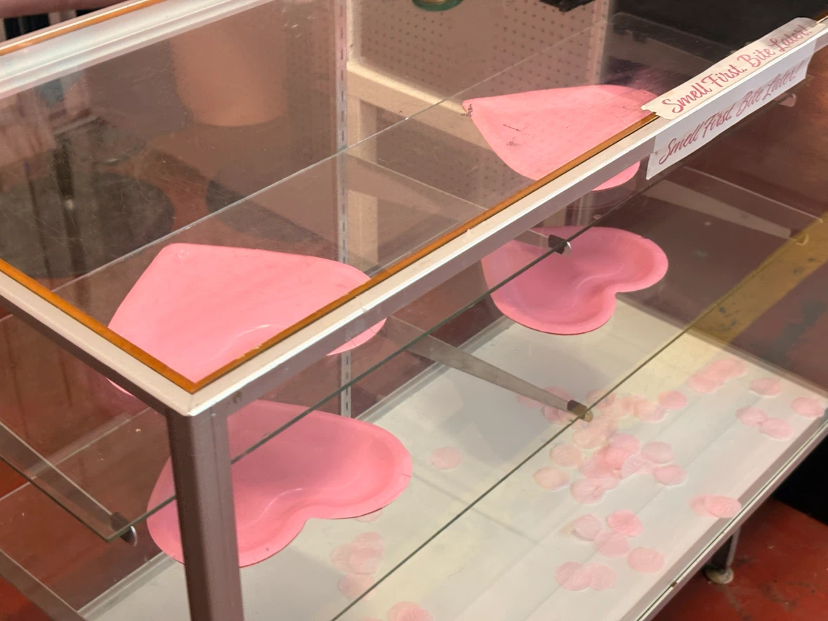 Glass display case with aluminum frame - photo 2