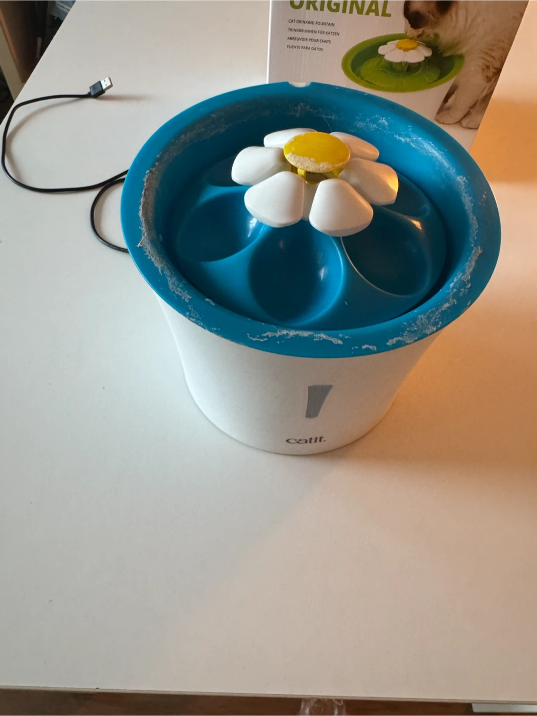 Cat Drinking Fountain
