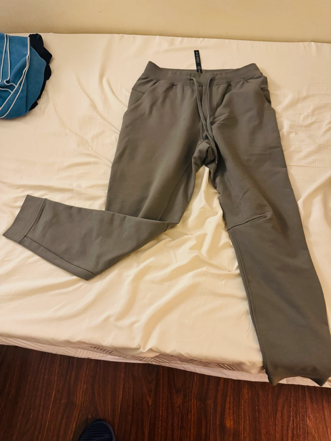 Lululemon sports jogger regular
