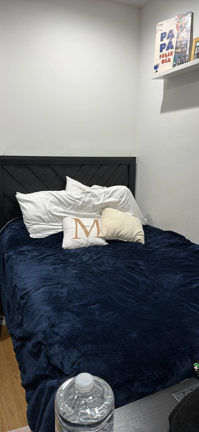 Queen Bed with Mattress