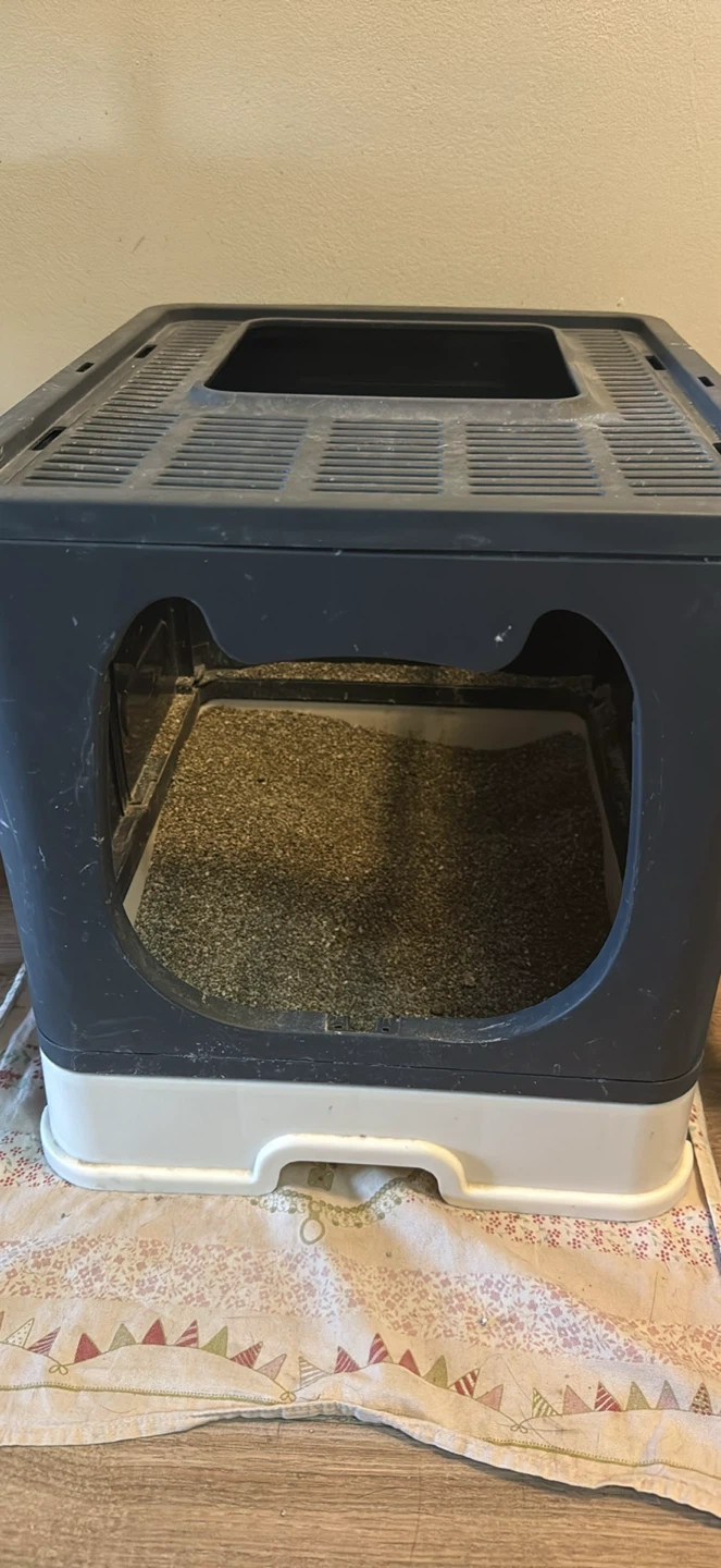 Cat Litter Box Enclosure