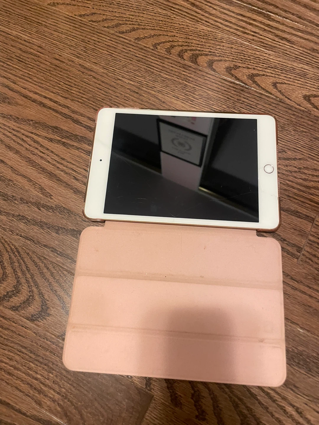 Apple iPad Mini 4 Rose Gold 2019 248 GB - photo 2