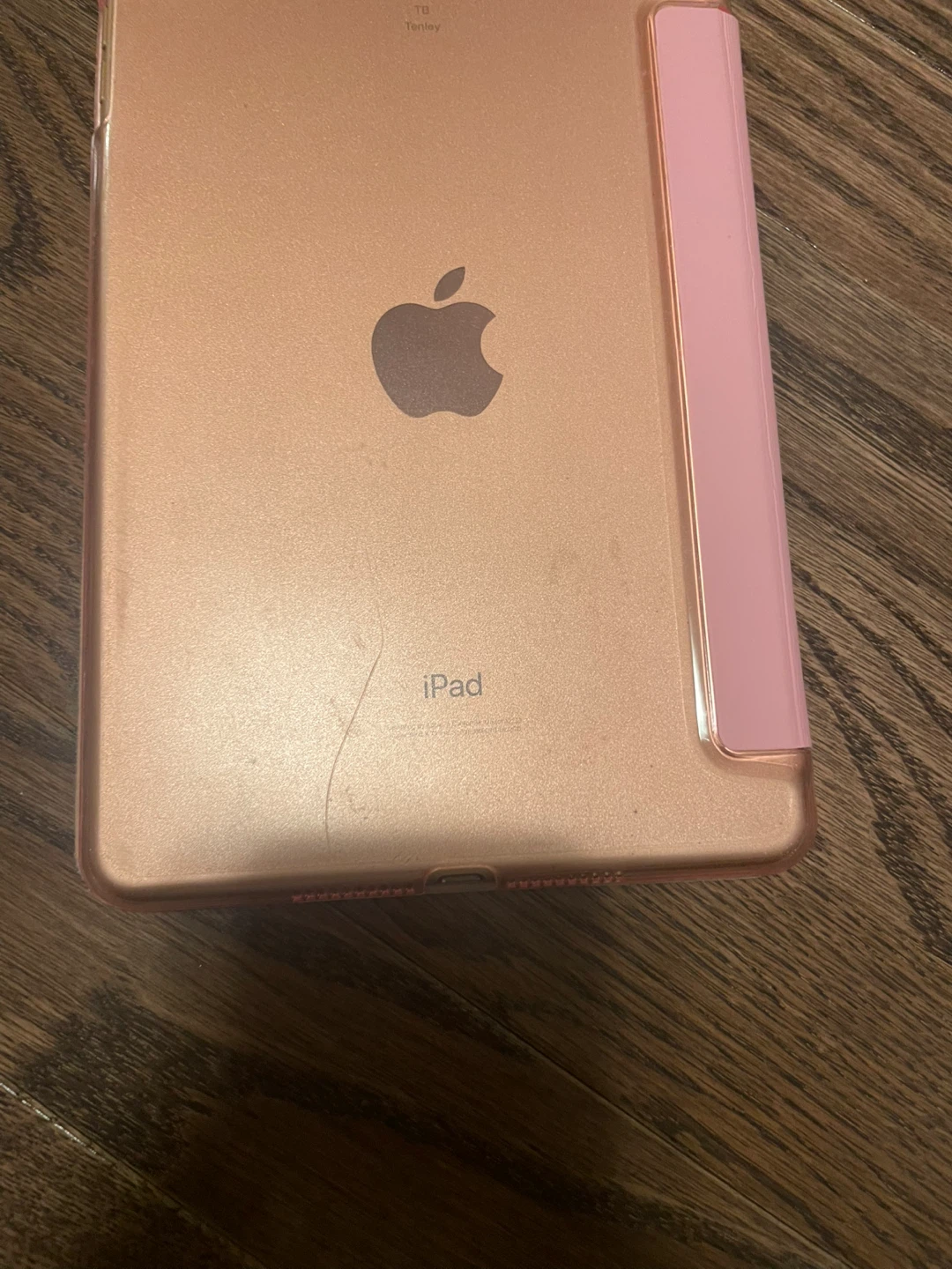 Apple iPad Mini 4 Rose Gold 2019 248 GB - photo 3