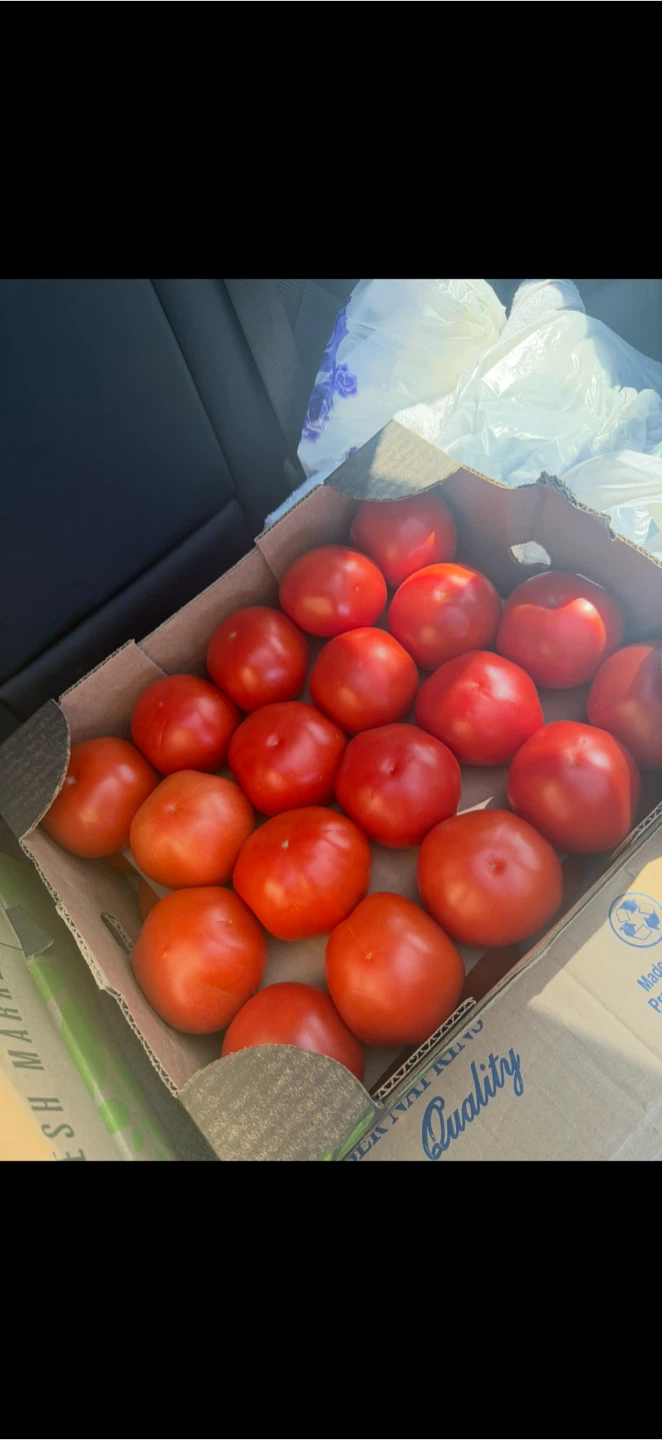 Sunset Tomatoes.  🍅 Brooklyn   we do delivery. - photo 4