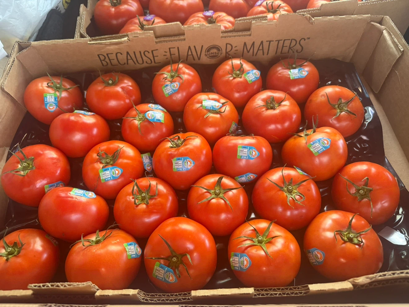 Sunset Tomatoes.  🍅 Brooklyn   we do delivery. - photo 5