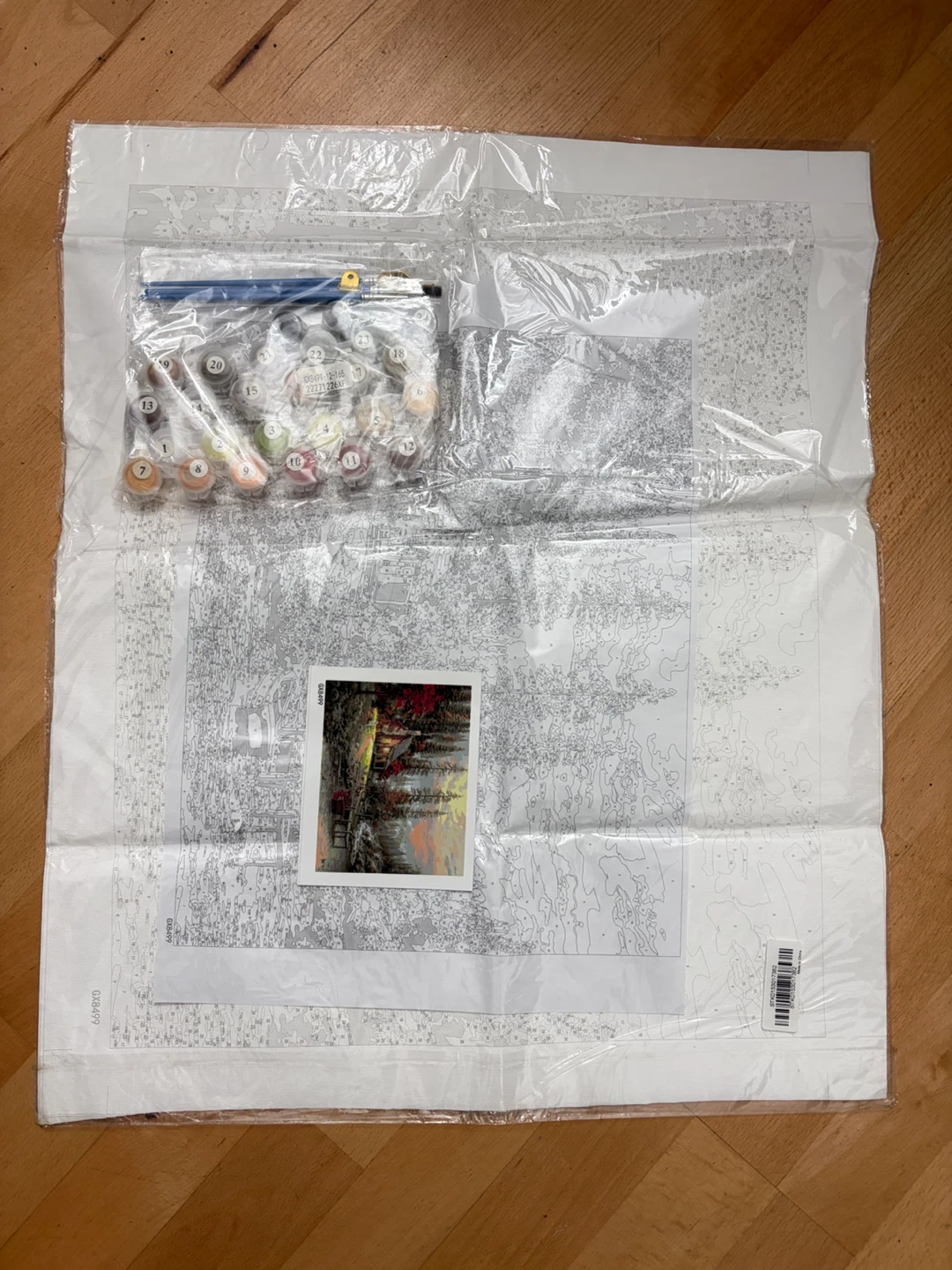 Paint by Numbers Kit