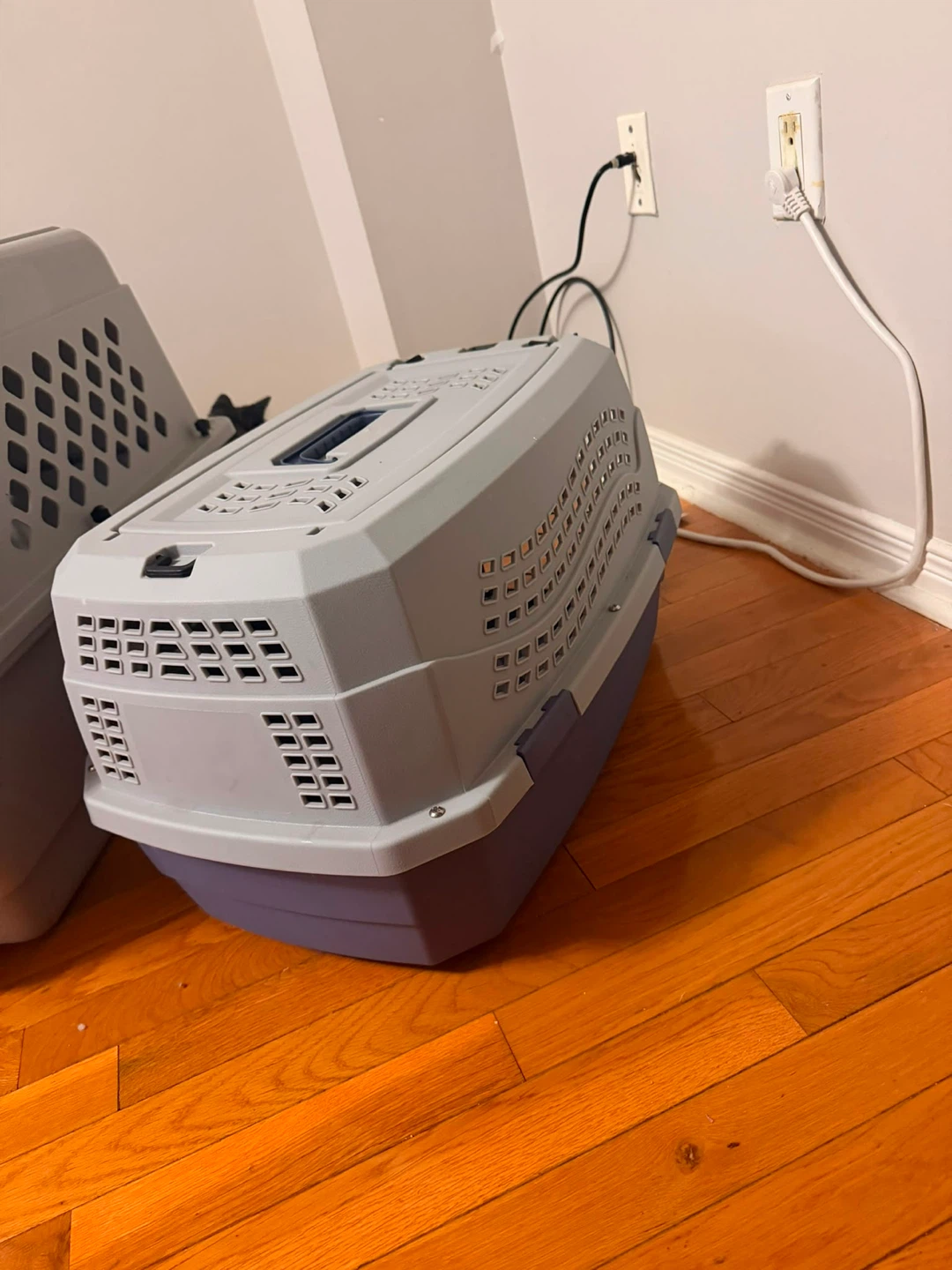 Light grey and purple plastic pet carrier - photo 2