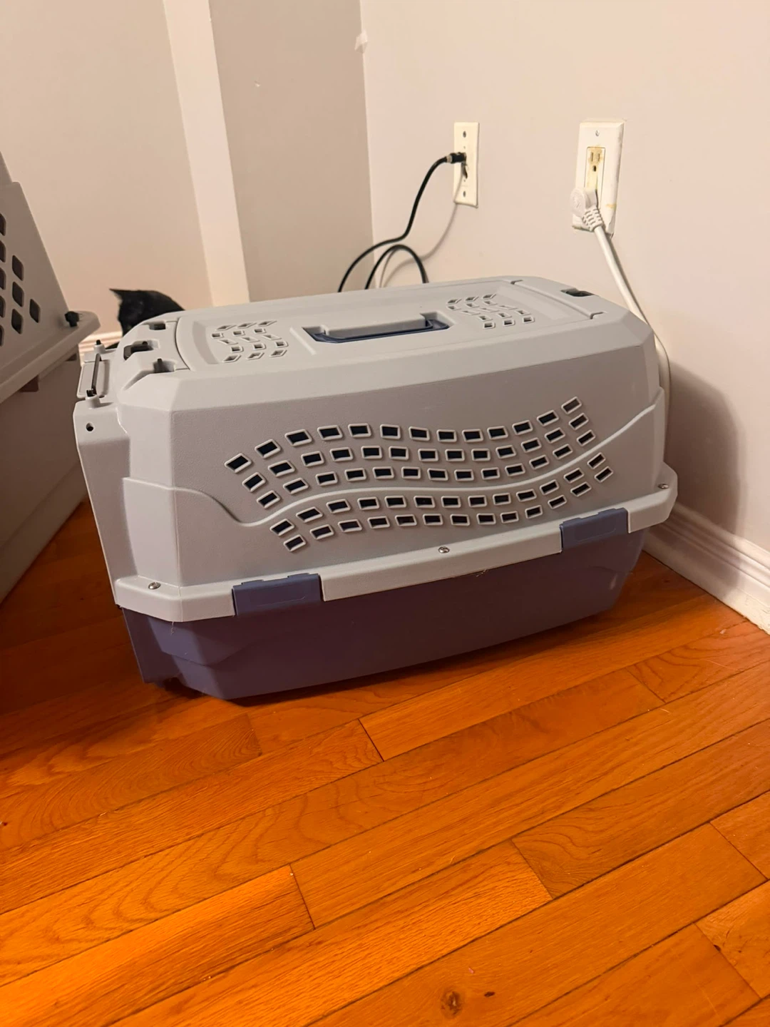 Light grey and purple plastic pet carrier - photo 3