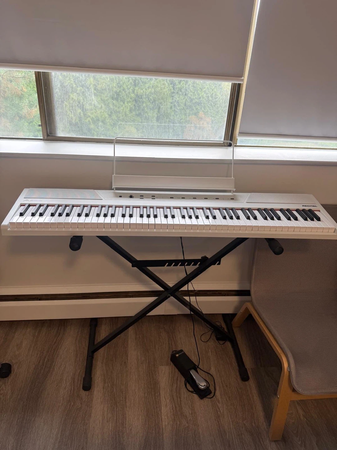 Alesis Recital Digital Piano with Stand